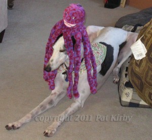 Cthulu vs. Greyhound