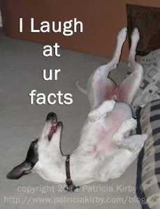 I Laugh at UR facts, greyhound