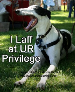 I laff at UR privilege, greyhound