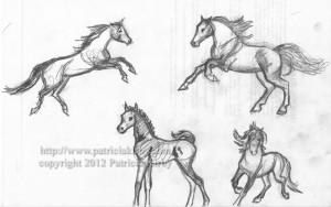 Horse sketches by P. Kirby